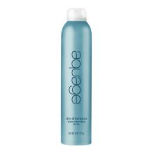 Aquage Dry Shampoo Style Extending Spray 8 oz