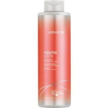 Joico Youth Lock Shampoo