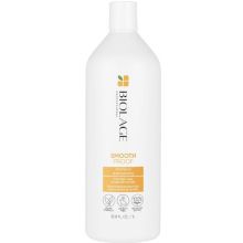 Biolage Smooth Proof Shampoo (Disc)